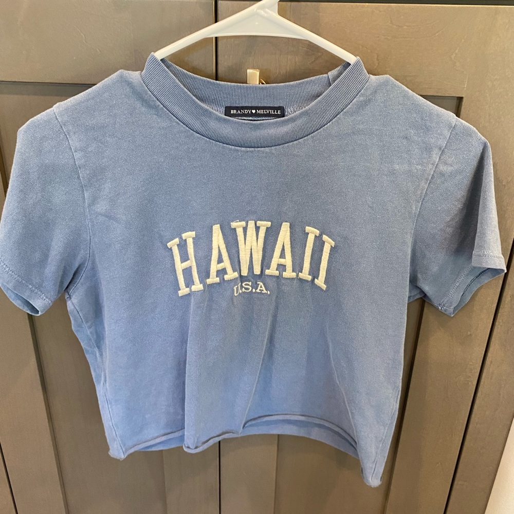 Brandy melville hawaii cropped top